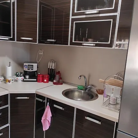 Διαμέρισμα етаж от къща - ками Πλέβεν