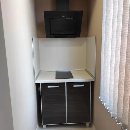 етаж от къща - ками Apartament Plevna